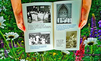 © Arie van den Dungen