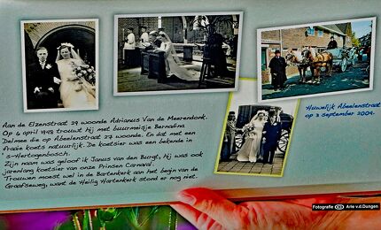 © Arie van den Dungen