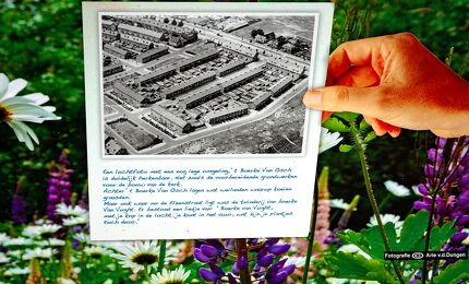 © Arie van den Dungen