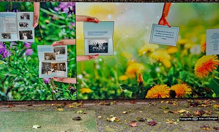 © Arie van den Dungen