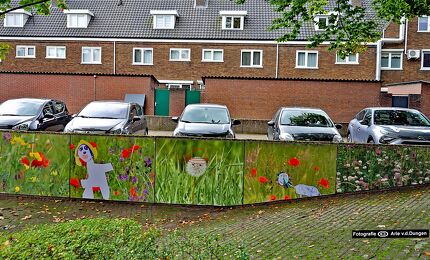 © Arie van den Dungen