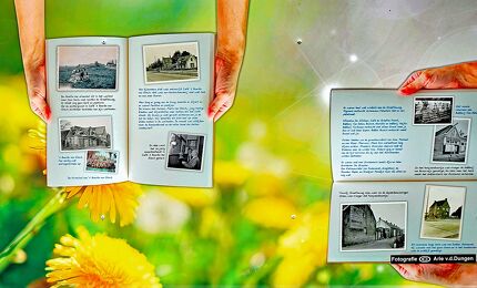 © Arie van den Dungen