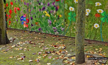 © Arie van den Dungen