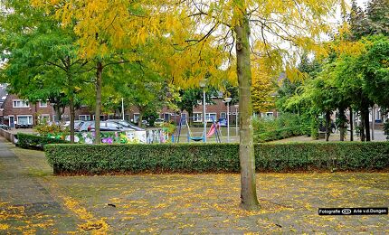 © Arie van den Dungen