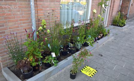 Voortuin Lucienne 