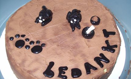  Dank je wel. Lisa heeft een taart gebakken voor Frank Reiniersen    ©Ageeth van Duuren 