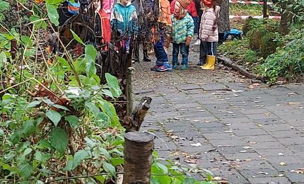 Sinterklaas bij dierenparkje Oosterhoeve 