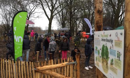 Tiny Forest "Jeroen Boschje" 