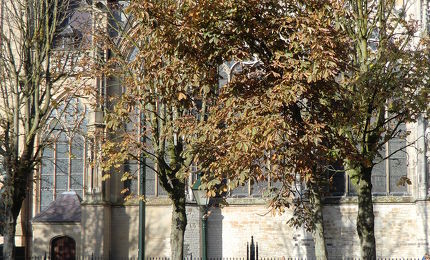 Duofietsen met de Fietsmaatjes 