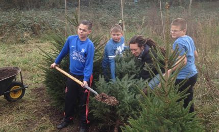 Kerstbomen planten op de Graafse Akker 