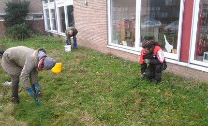 Bloembollen planten 