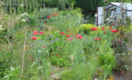 Open dag A.T.V. Oosterplas 