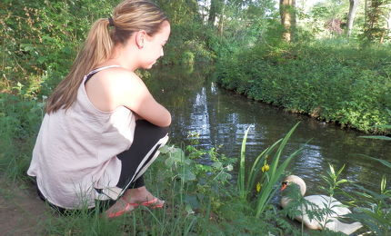 Devenee en de zwaan 