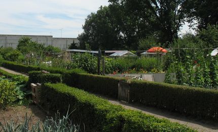 Tuinenvereniging Oosterplas 55 jaar 