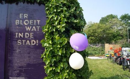 Buurderij bij de Graafse akker 