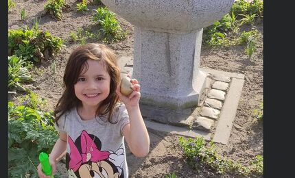 Rifka, Winnaar gouden ei Buurthuis Graafsewijk Noord 