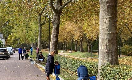 Bollen planten Aartshertogenpark 