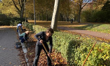 Bollen planten Aartshertogenpark 