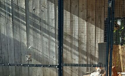 Oosterhoeve, schildpaddenvijver 