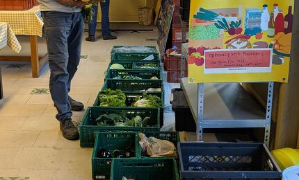 Tuinder Bart van tuinderij de Es 