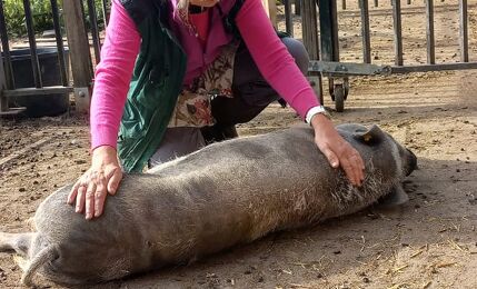 Oosterhoeve, Anja met Kootje 