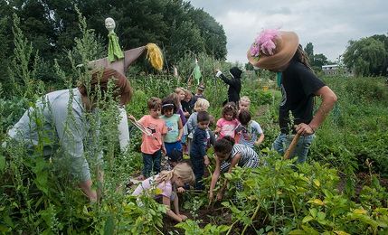 Najaar op de graafse Akker   ©Peer Reede 