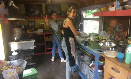 Voorkauwers op de Buurderij 