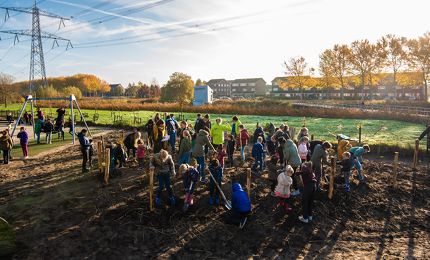 Tiny Forest voor Graafsewijk Noord 