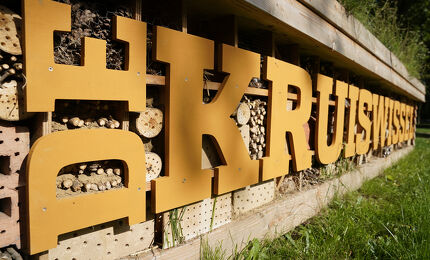 Insectenhotel stadionlaan 