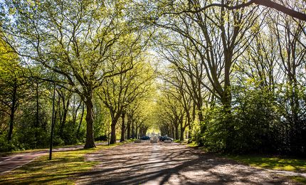 Ontwikkeling omgeving station Oost ® Angeline Swinkels 