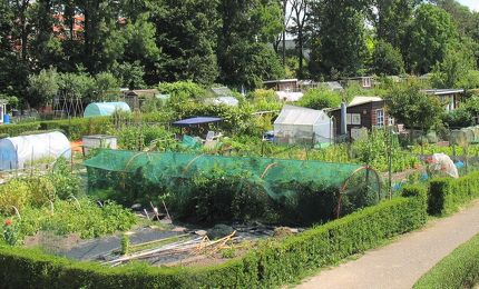 Tuinvereniging Oosterplas 